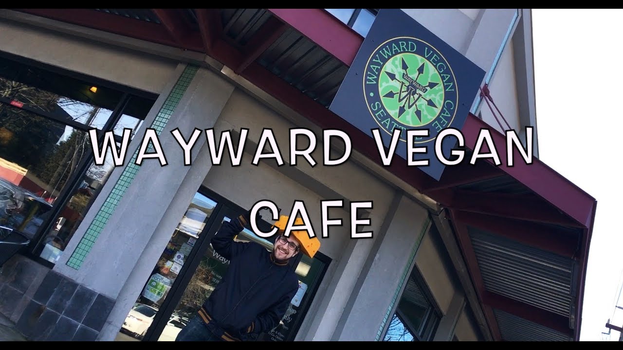  Wayward Vegan Cafe Seattle  WA VeganCheesehead YouTube