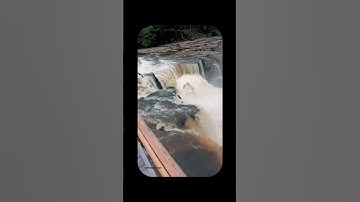 One Wrong Move, and It’s Over... #fishing #naturevideo #RiskyMoment #shorts #viralvideo #wildlife