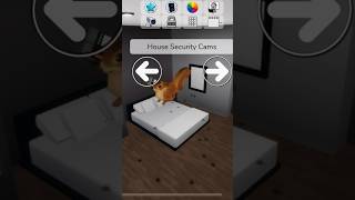 brayden go back in ur bed ?|| capcut brookhaven roblox edit trend squirrel