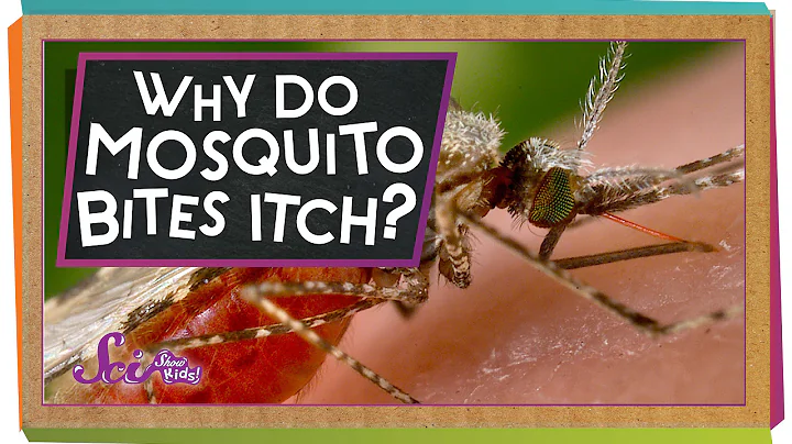 Why Do Mosquito Bites Itch? - DayDayNews