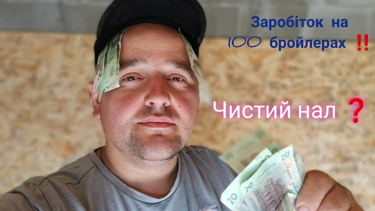 Собівартість бройлера в 2025 році ‼️ Як стати мільйонером ‼️ 