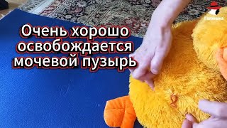 видео: КАК ПУПОК Помогает кишечнику и Мочевому Пузырю. картинка: КАК ПУПОК Помогает кишечнику и Мочевому Пузырю.