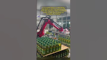 #borunte #automobile #weldingrobot #automachine #factory #Palletizing robot #handling robot