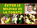 Mildiou de la tomate - Comment l