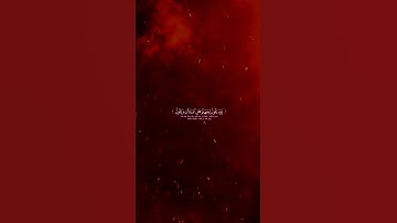 تلاوة بصوت الشيخ محمد اللحيدان...#قرآن #اكسبلور #quran #allah