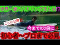 ♦超有料級♦今の2倍のスピードが出せる効率的なパドリング法。ロングボード編 【井上鷹のサーフィン講座】How to 第2弾‼️#無料公開 #初心者向け #サーフィン #入門編 #ロングボード #必見 