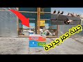 مفاجئةةةةةة جبنة حمر جديدة 