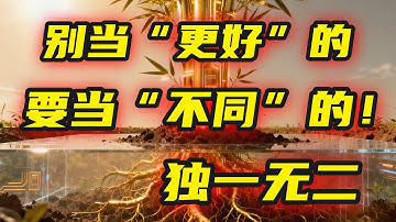 “与其更好，不如不同！” 揭秘个人IP“切割”市场的3个绝招，创造品类你就是第一
