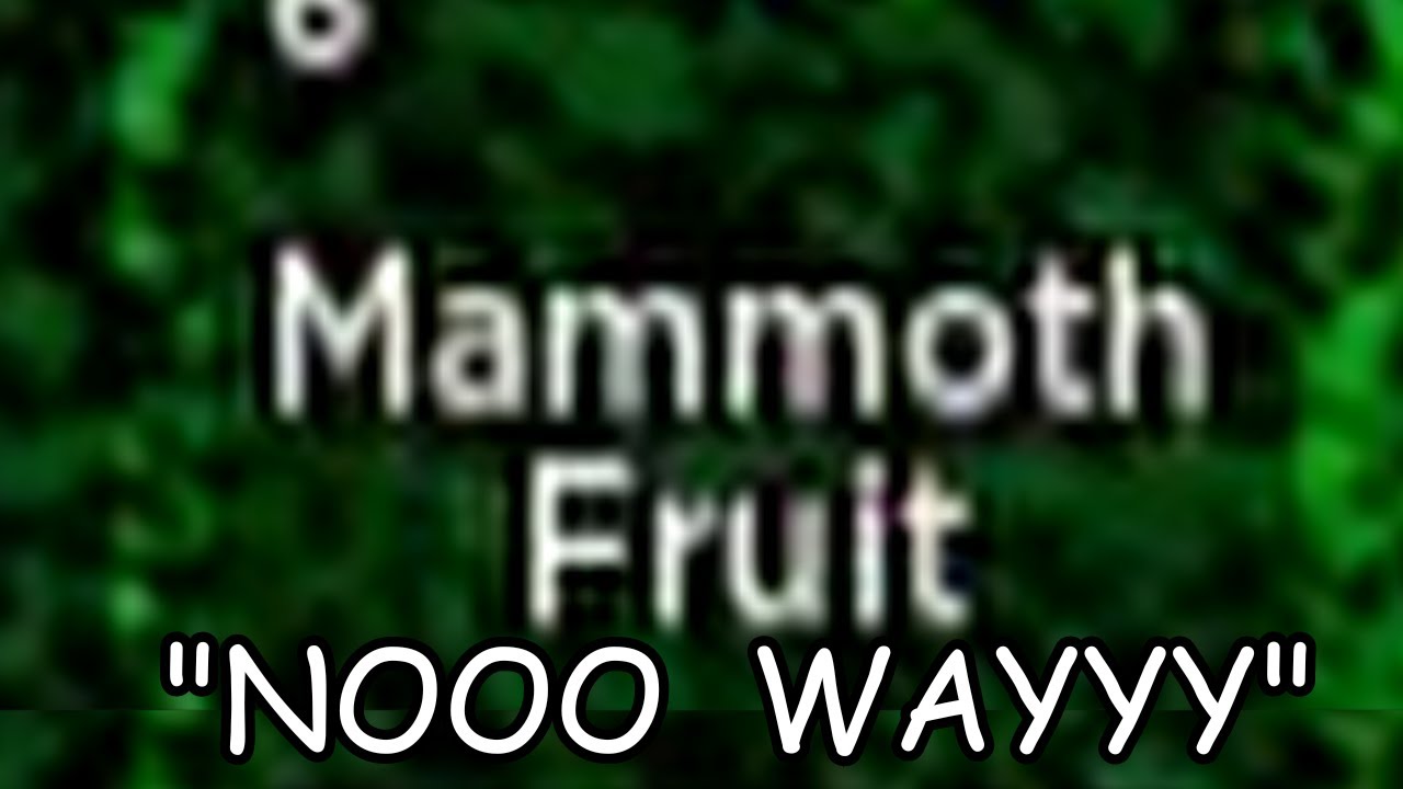 I Rolled Mammoth Fruit in blox fruits!!!!!!! - YouTube