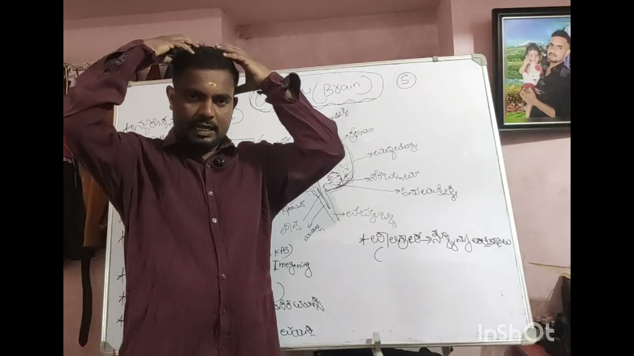   Brain information in Kannada all competitive exams