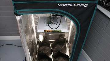 Mars Hydro All-In-One Grow Kit review