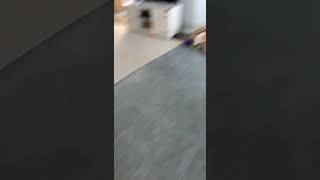 Daily snaps 5/22/19