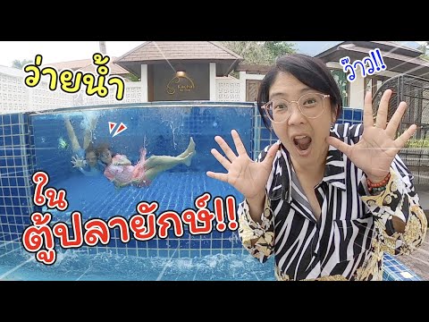 ว่ายน้ำในตู้ปลายักษ์ สระว่ายน้ำในห้องสุดหรูบนเกาะช้าง!! | คชารีสอร์ท | แม่ปูเป้ เฌอแตม Tam Story