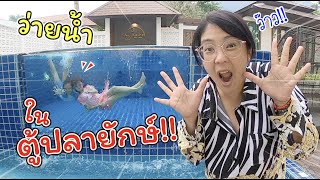 ว่ายน้ำในตู้ปลายักษ์ สระว่ายน้ำในห้องสุดหรูบนเกาะช้าง!! | คชารีสอร์ท | แม่ปูเป้ เฌอแตม Tam Story