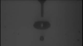 200um droplet formation - BD Influx