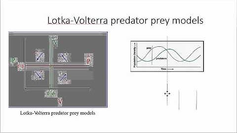Predator prey cycles