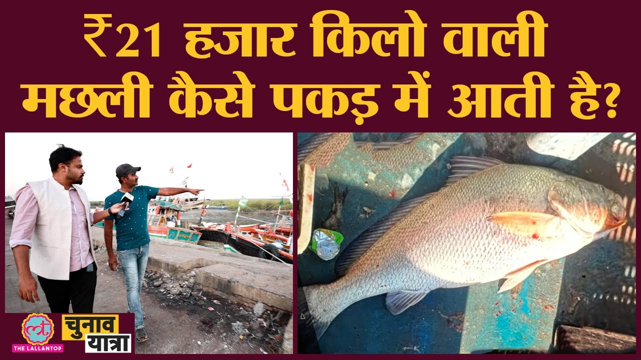 Dwarka के मछुआरे ने बताया समंदर से ‘सोना’ कैसे निकालते हैं? एक मछली 15 लाख की।Gujarat Election