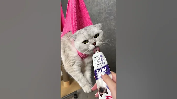 How to trim your cat`s claws 💅 - 天天要聞
