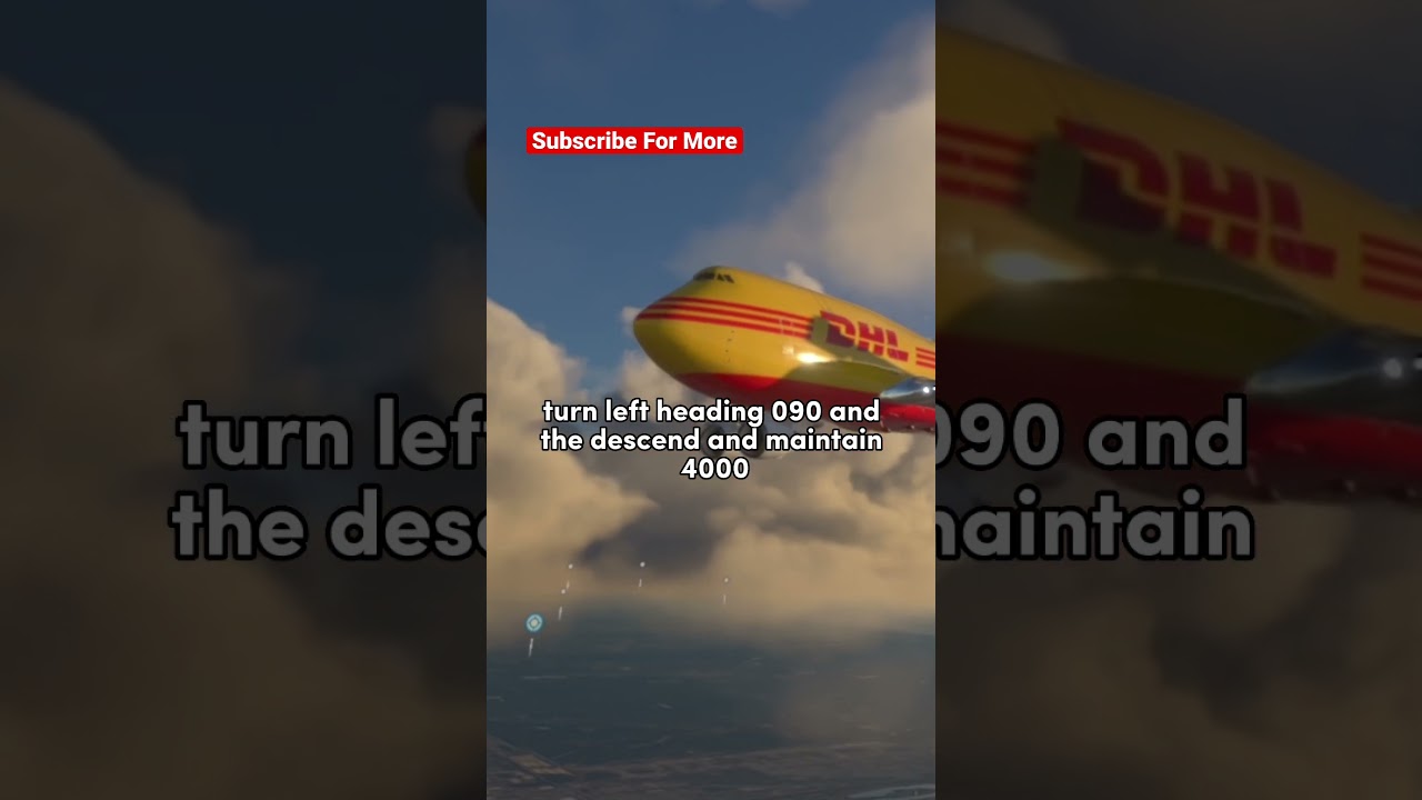 HORSE GIVES BIRTH On Board DHL Cargo Plane- Emergency Landing 