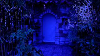 Full summer moon - The old REFUGE lost in the forest - Natural ambient sounds