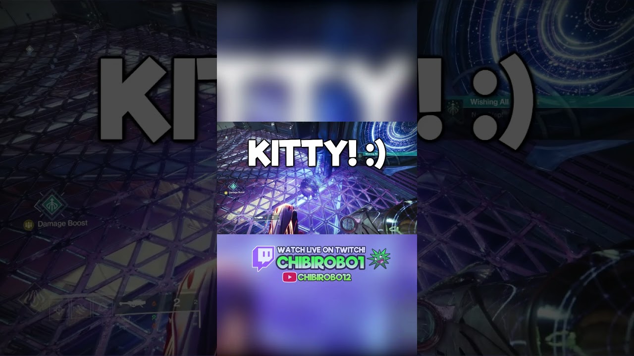 NOT THE SPACE KITTY! 