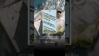 Что значат летящие жезлы на карте Восьмерка Жезлов? #таро #мастертаро #tarot #таромастер #таролог