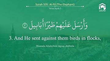 Quran 105   Surah Al Fil سورة الفيل   Sheikh Abdul Rahman As Sudais   With English Translation
