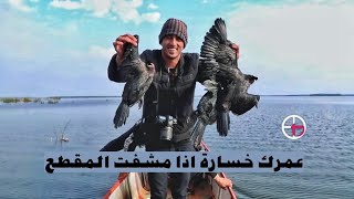 اغرب طيور الهور في العمارة طائر الهليجي/محمد الدرويش