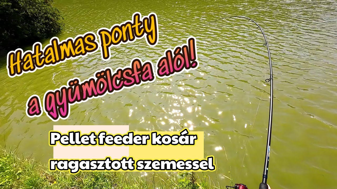 Ragasztott szemesanyag Pellet Feeder kosárba töltve!