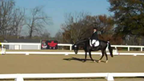USDF Finals 2013 70.20% AA Training Level.Susan Fa...