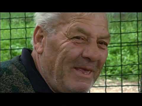 \"Travel Channel\" about The Union of Georgian Martial Arts