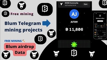 Blum Telegram BOT: How to Create an Auto-Play BOT & Earn BLUM Airdrop