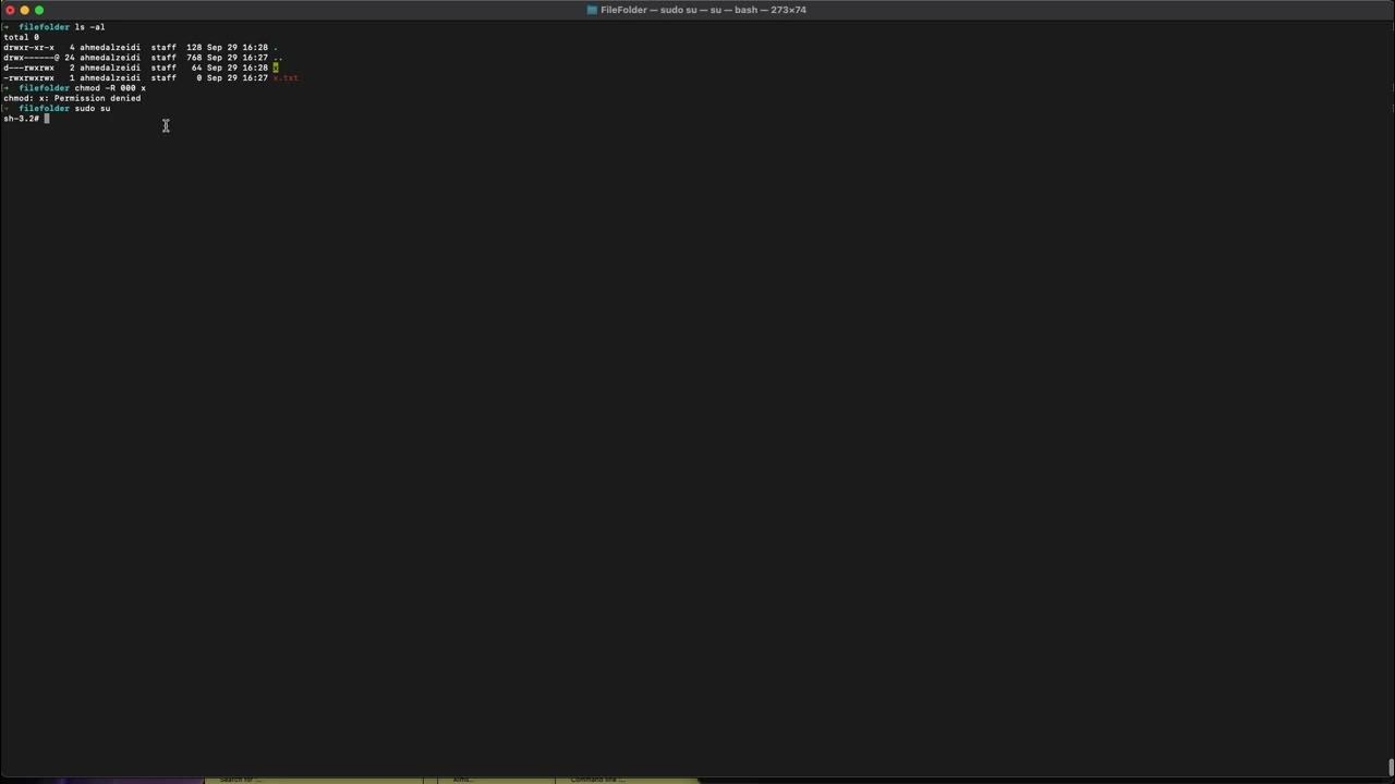 Terminal Permission denied YouTube