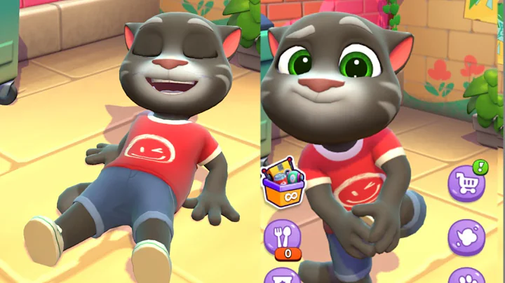 Video 11114861: talking pets funny cats, talking tom cat, talking tom live, talking tom fun