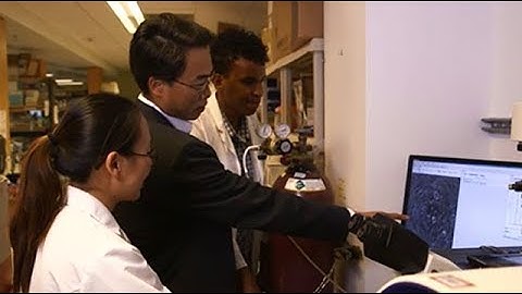 Stanford Center for Arrhythmia Research and Stanford Arrhythmia Service