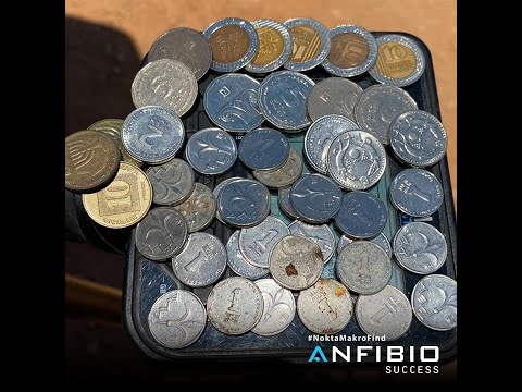 მეტალო დეტექტორი \" ისკატელი \" anfibio multi  nokta makro განხილვა