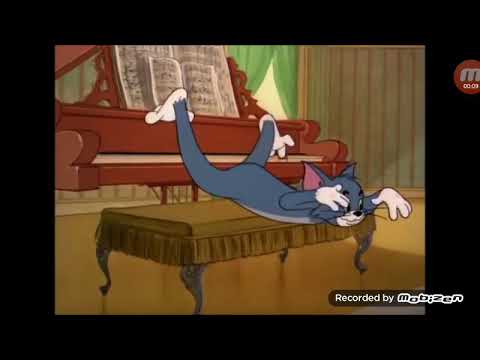 Tom si Jerry pe manele Noi bem spargem pahare