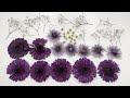 Drying Flowers with Silica Gel for Resin | Sweet Art Crafts