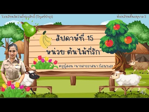 หน่วย ต้นไม้ที่รัก#ห้องเรียนอนุบาล 3