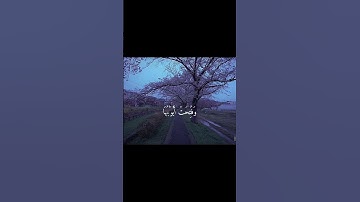 محمد اللحيدان سورة الزمر ١٤٣٥ #اكسبلور