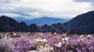 Black Mountain Road - Arborea