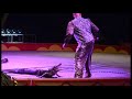 Circus 2014