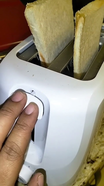 How to use a toaster #breakfast #bread #shorts