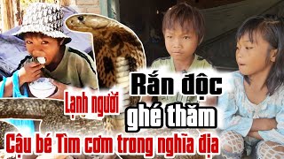 Lạnh Người Rắn Độc Vào Tận Nơi Hỏi Thăm Cậu Bé Tìm Cơm Trong Nghĩa Địa