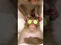 Spa Day Goals 🥒🐒