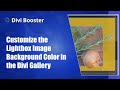 Customize the Lightbox Image Background Color in the Divi Gallery