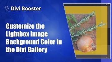 Customize the Lightbox Image Background Color in the Divi Gallery