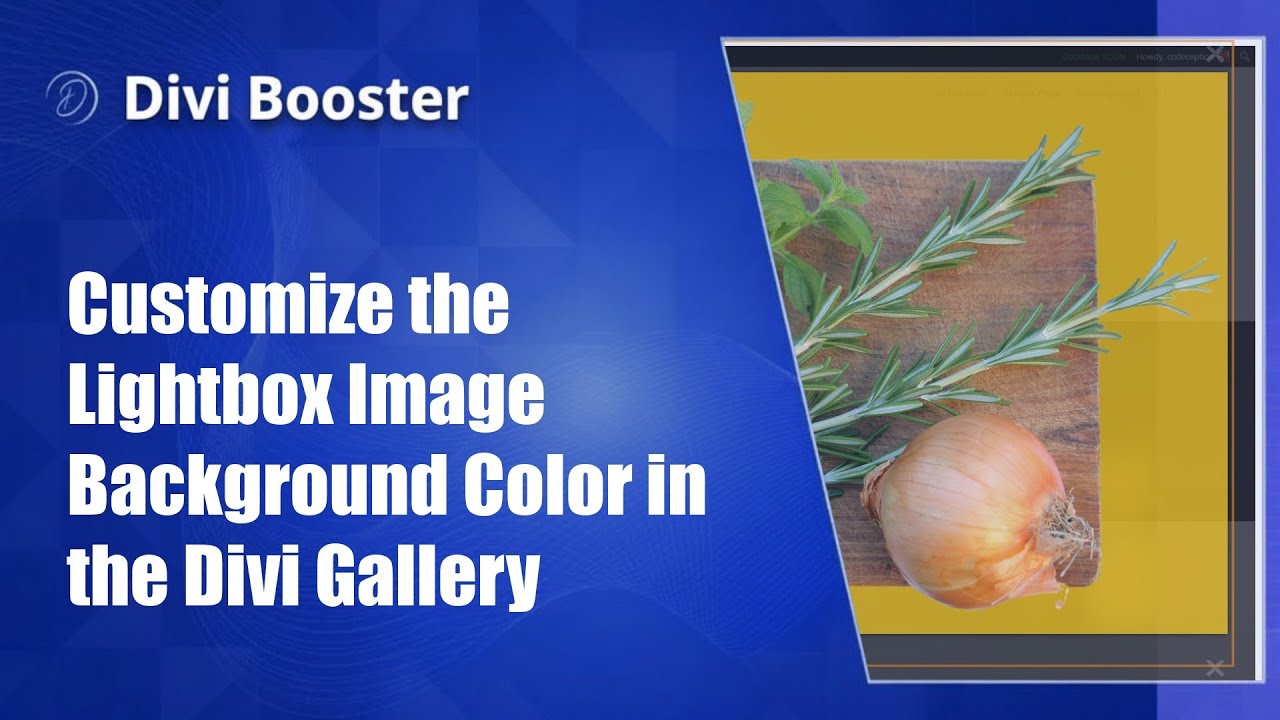 Customize the Lightbox Image Background Color in the Divi Gallery - YouTube