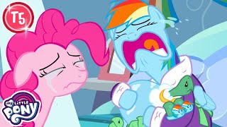 My Little Pony: A Amizade é Mágica 🦄 Obrigada pela Lembrança | T5 E05 | MLP