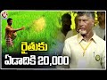 TDP manifesto: Chandrababu promises Rs 20,000 aid for farmers